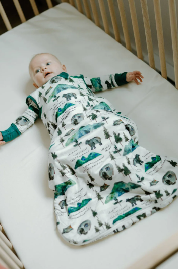 Sleep Bag | Borealis Bear