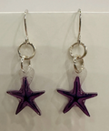 Purple starfish earrings on a beige card with 'Wild Sketches Earrings - TSITP Collection' text.