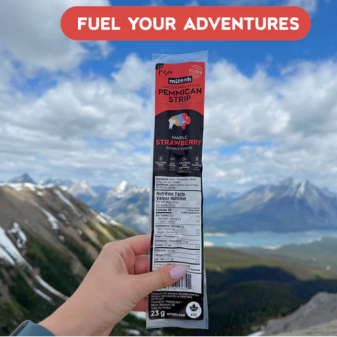 Hand holding a package of Pemmican Strip with mountains in the background