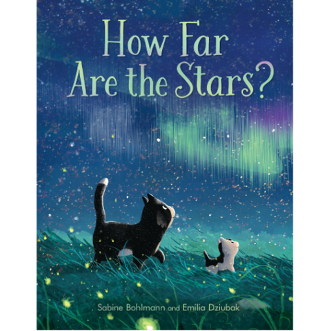 Book cover of 'How Far Are the Stars?' with a cat and dog looking at the stars.