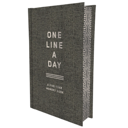 Gray memory book titled 'One Line a Day' on a white background
