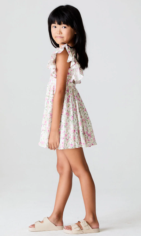 Brammie Mini Dress | Salt