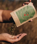 Person holding a packet of seeds over their hand with a blurred natural background
