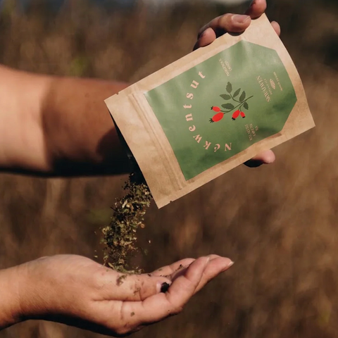 Person holding a packet of seeds over their hand with a blurred natural background