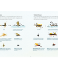 Product page with illustrations of insects and text on a white background