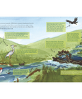 Illustration of a nature scene with animals and text on a white background