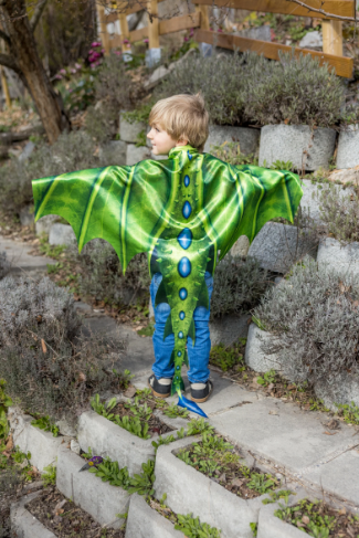 Legendary Dragon Soft Wings