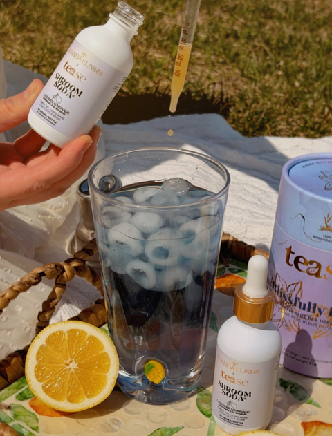Shroom Soda | Lavender Lemonade