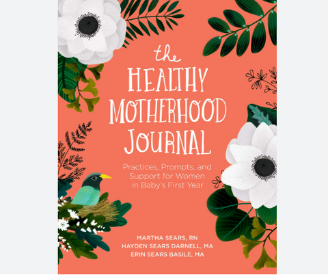 practices, prompts and support for women in baby's first year