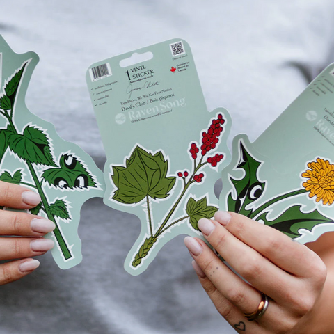 Hands holding vinyl stickers with nature-themed designs against a neutral background