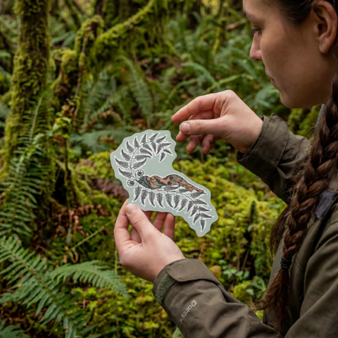 Person holding a transparent cutout of a forest design in a forest setting