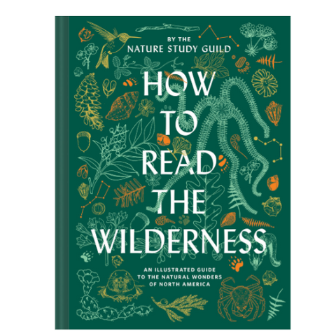 Book cover of 'How to Read the Wilderness' by the Nature Study Guild with nature-themed illustrations on a green background.