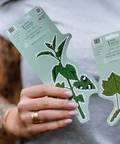 Person holding two plant-themed stickers with a gray shirt background