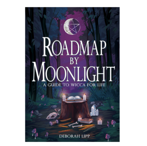 Book cover of 'Roadmap by Moonlight' with a forest scene and candles.