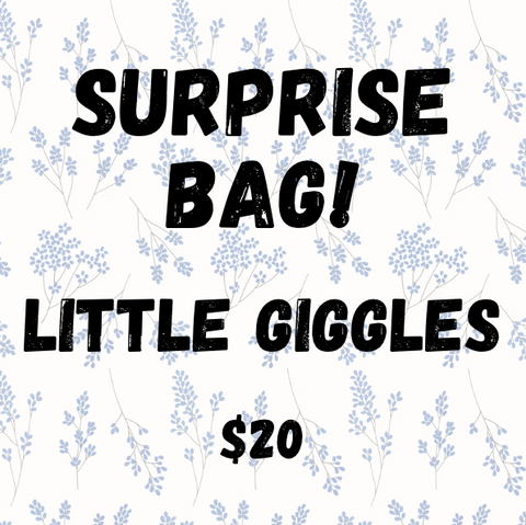 Promotional text for 'Surprise Bag! Little Giggles' with a price of $20 on a floral background.