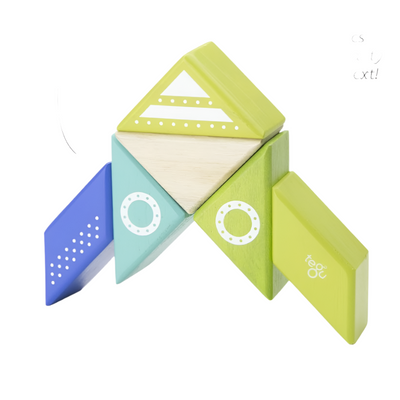 tegu, toy, spaceship, blue, green