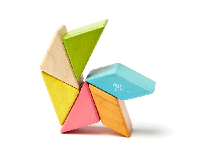 TEGU - 6 PIECE POCKET POUCH PRISIM | TINTS