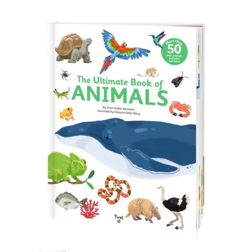 huge big learning animals book