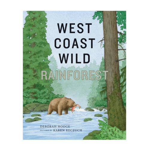 giftable logical childrens book