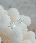 Silver starfish earrings on a textured white surface