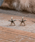 Starfish-shaped earrings on a wooden surface
