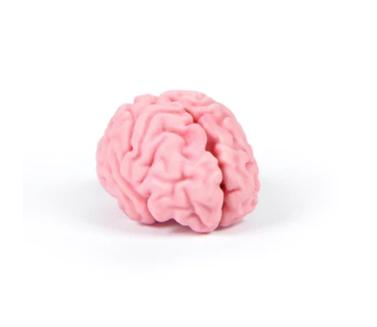 Fred  - Think About It: Brain Eraser