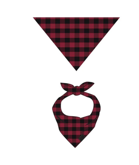 dog, accessories, holiday, pet